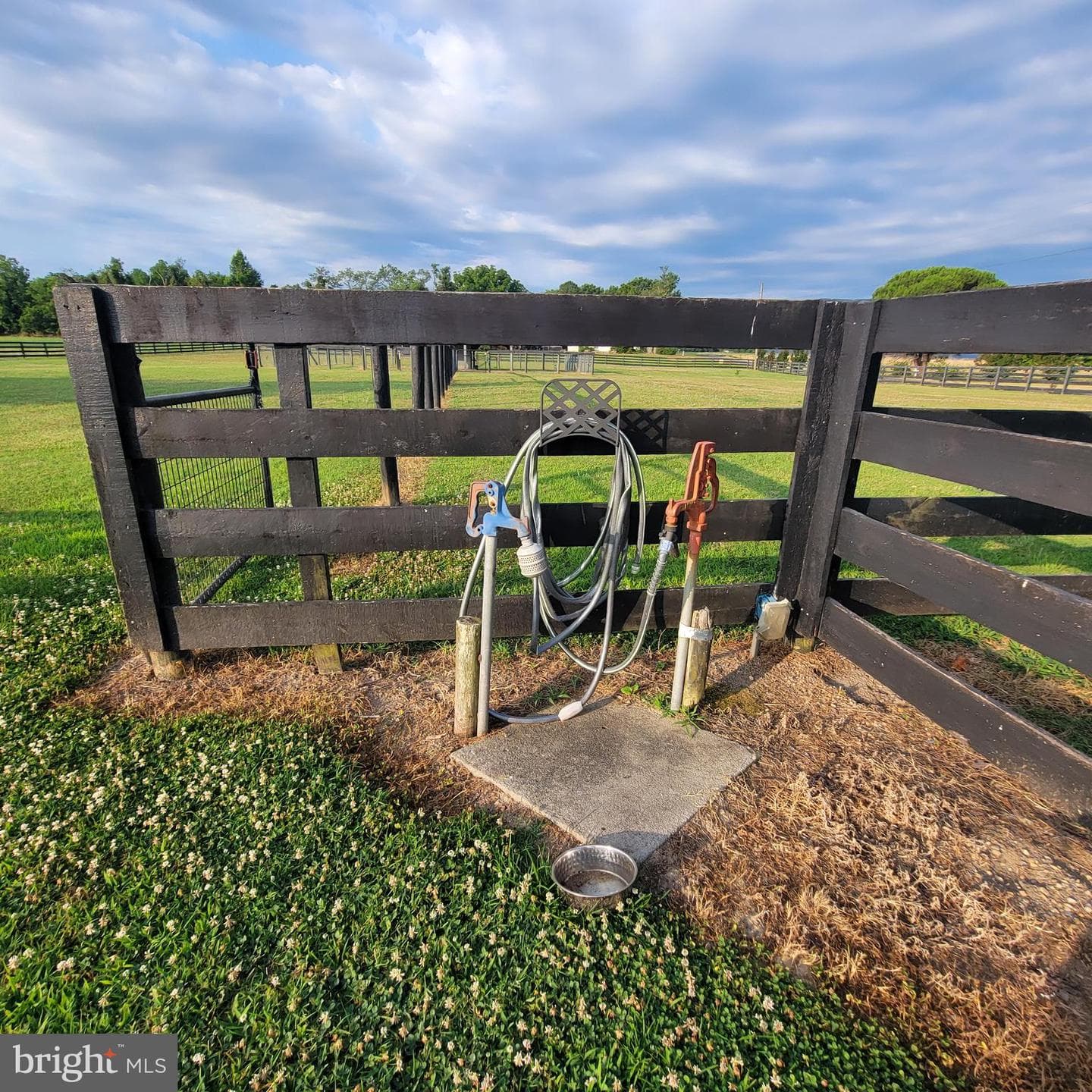 519 White Hall Road photo 39