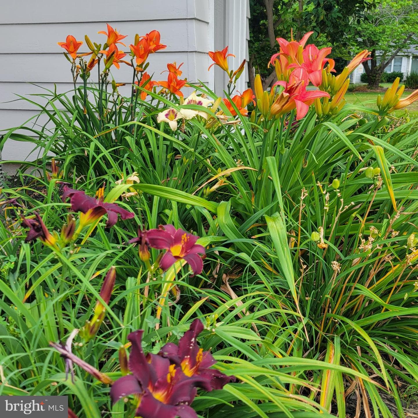 519 White Hall Road photo 42