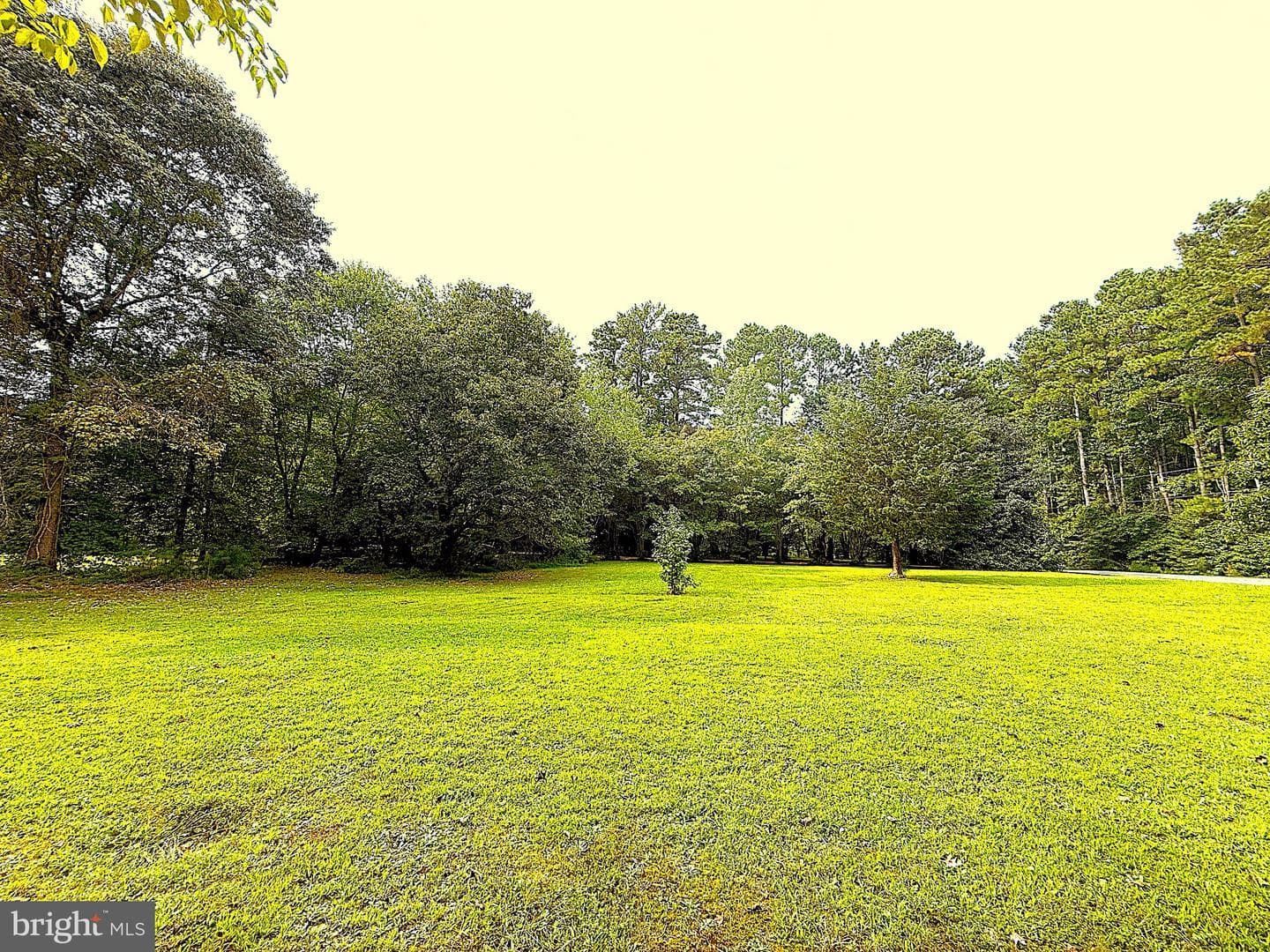 404 Woodbrook Drive photo 11