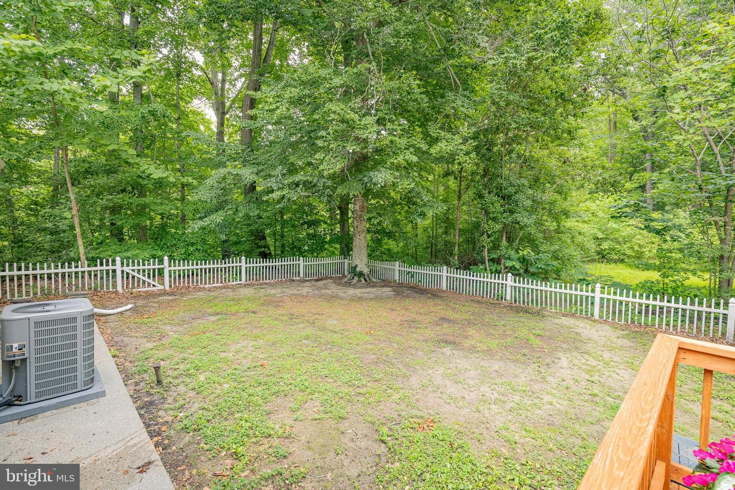 17 Wesley Terrace photo 27