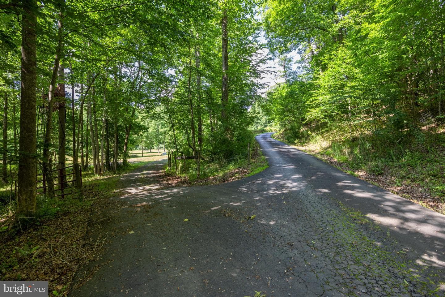 291 Courtney Hollow Road photo 26