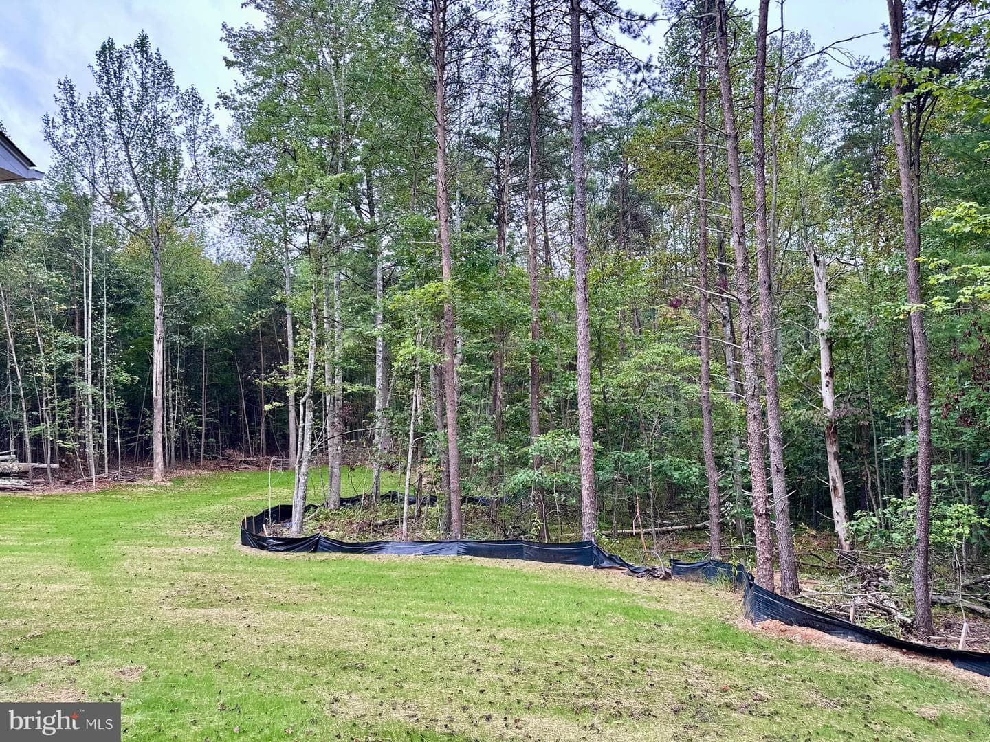 1303 Arrington Mountain Road photo 20