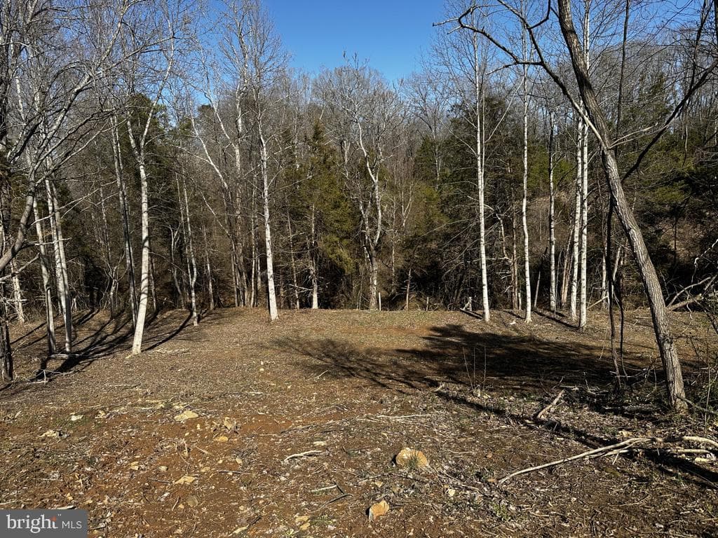 2331 Orange Road photo 45