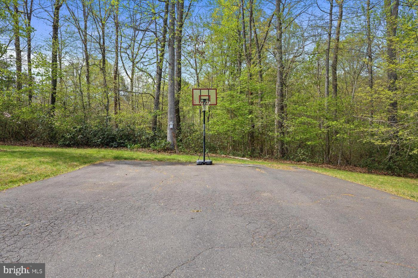 279 Carriage Lane photo 47