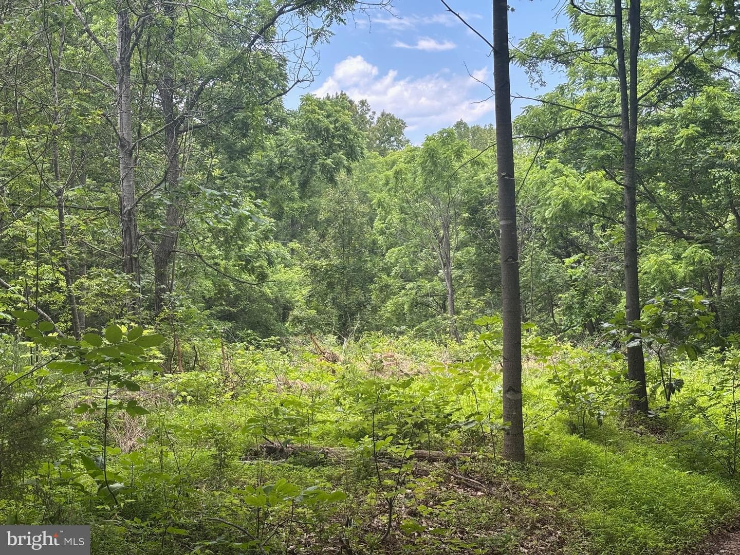 Tbd Mount Pisgah Church Dr photo 11