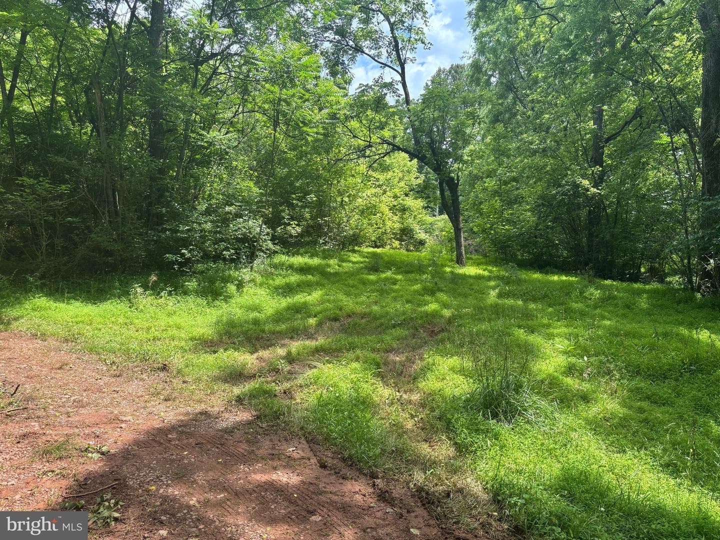 Tbd Mount Pisgah Church Dr photo 17