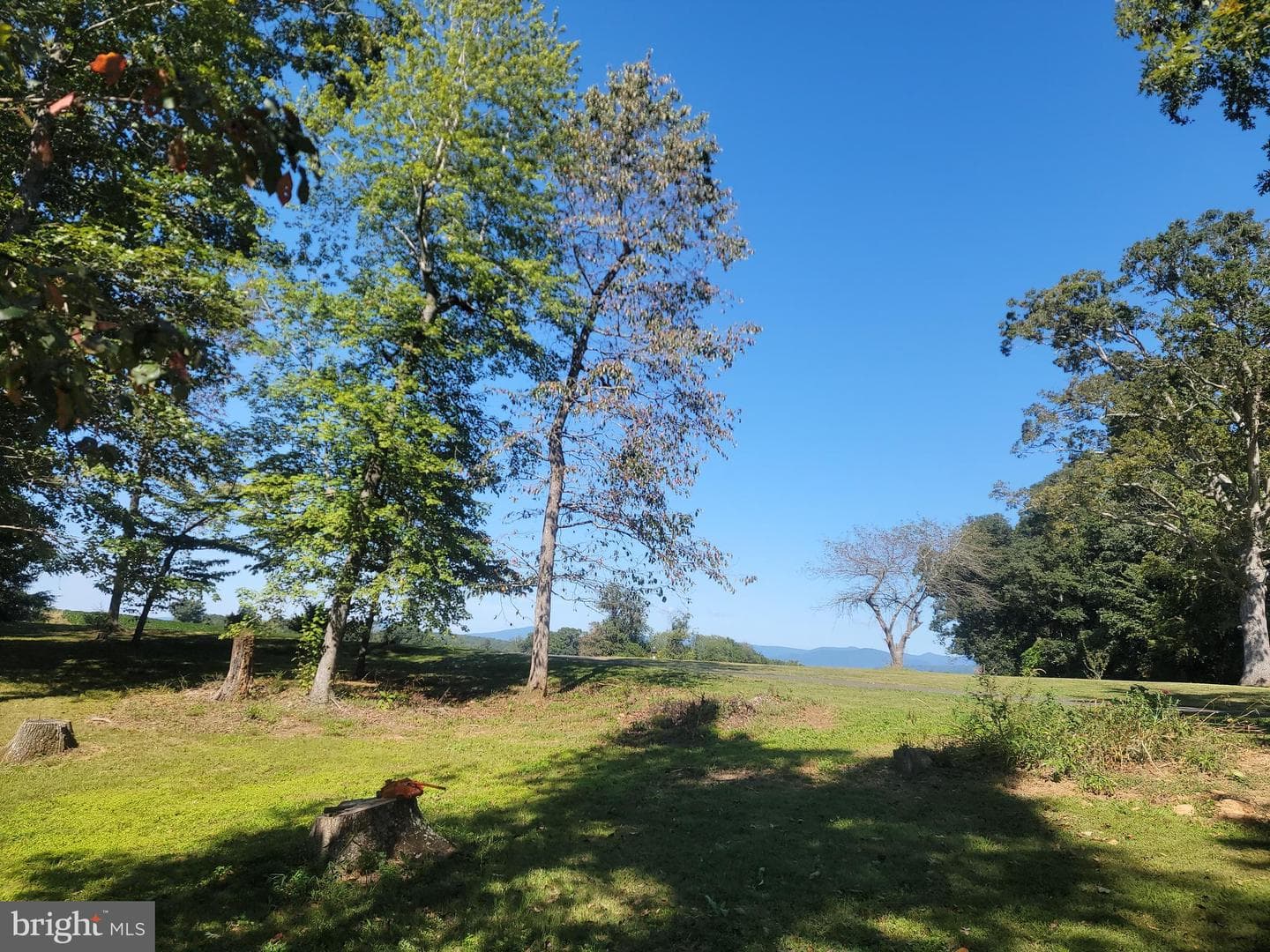 524 Annies Road photo 5