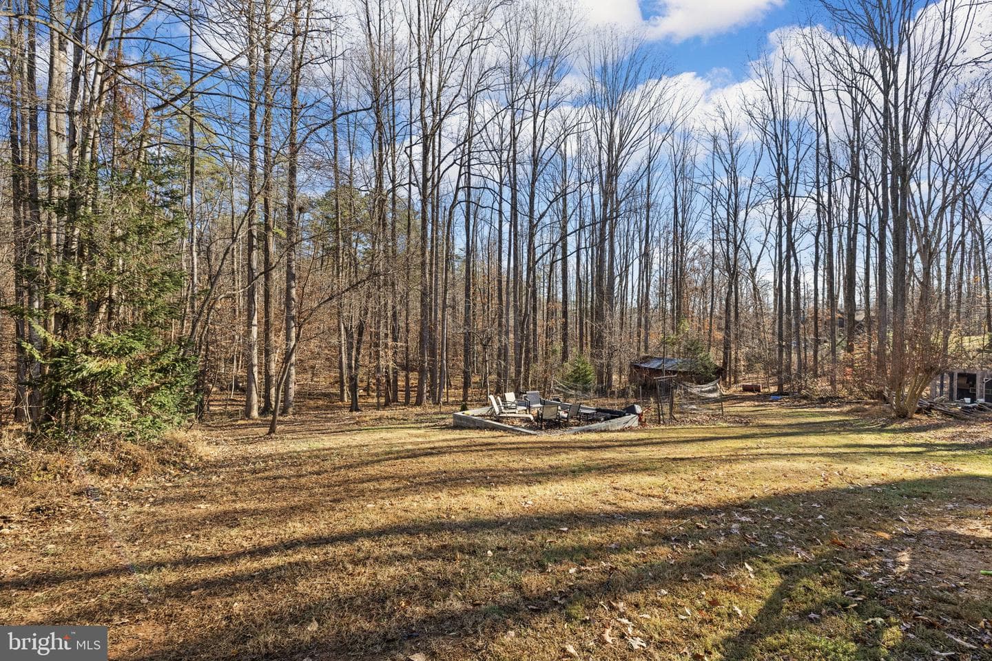 161 Persimmon photo 32