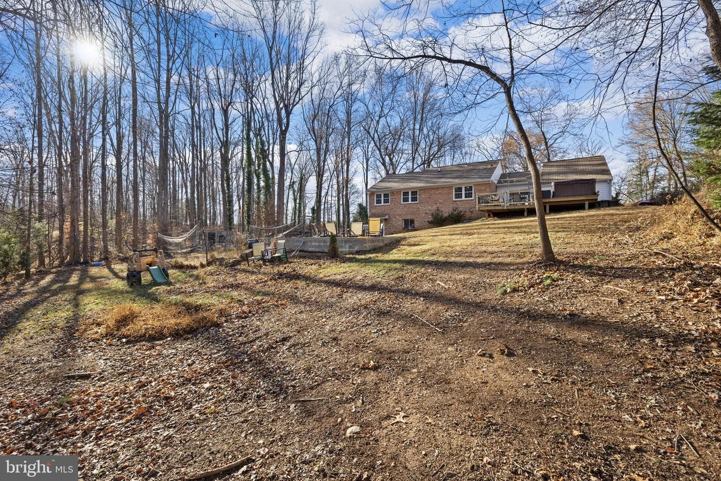 161 Persimmon photo 33