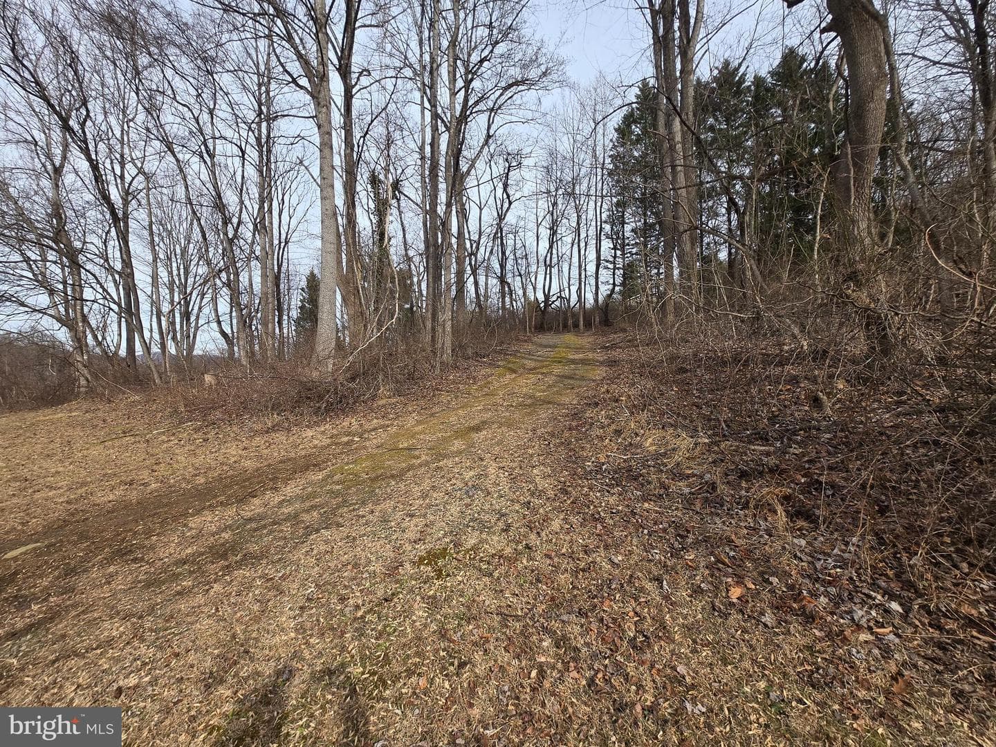 2996 Etlan Road photo 22