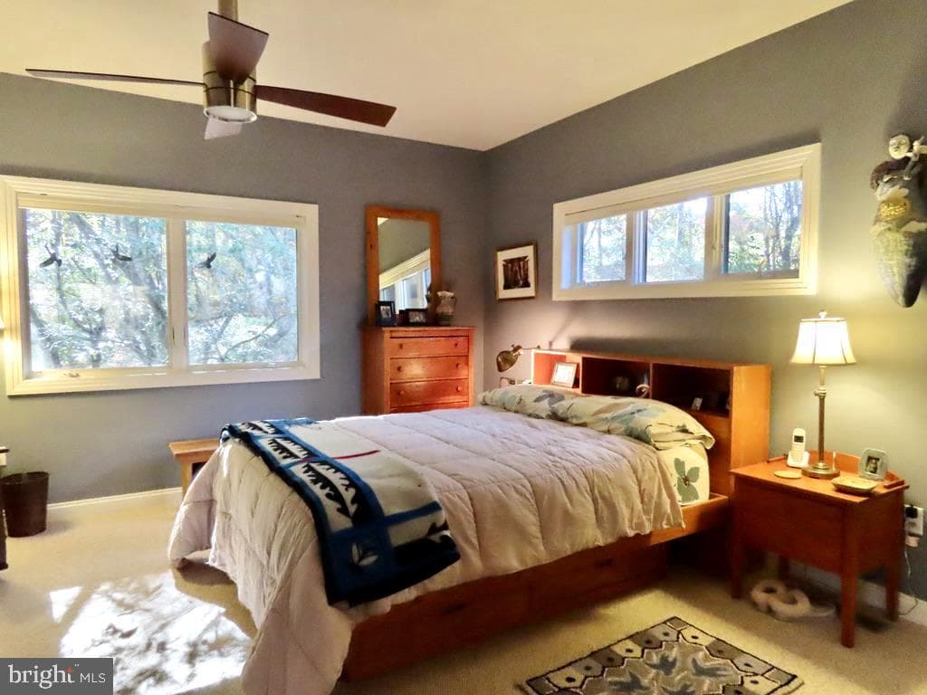 3016 Etlan photo 22