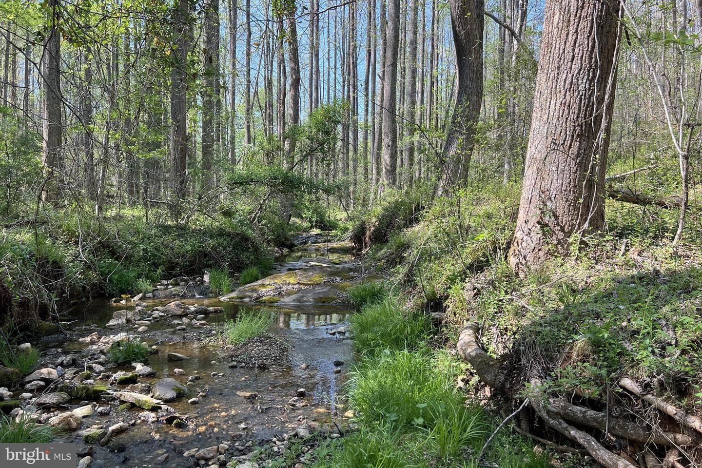 677 Weaver Hollow Road photo 30