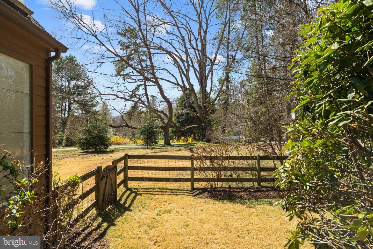359 Malvern Drive photo 33