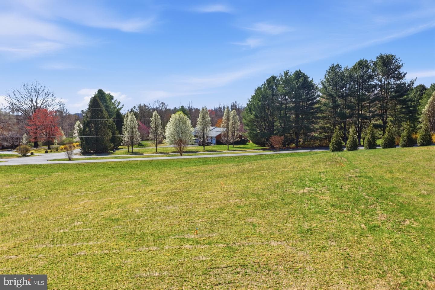359 Malvern Drive photo 42