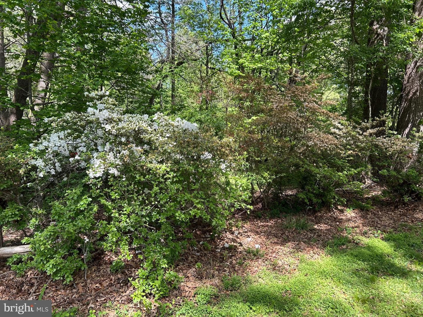 359 Malvern Drive photo 43