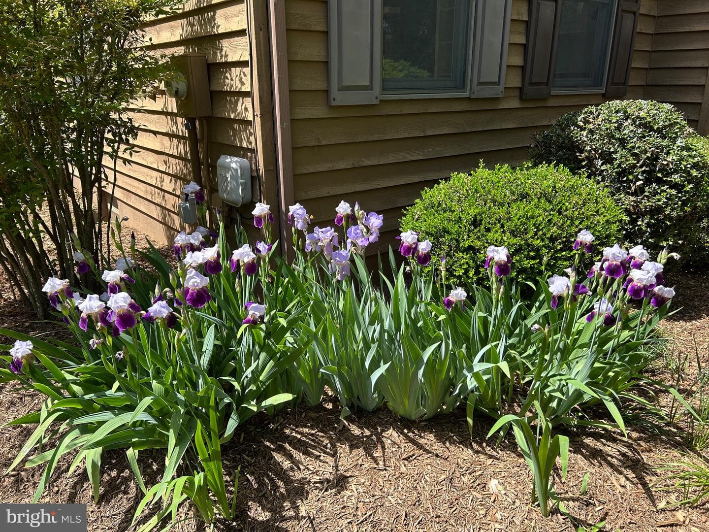 359 Malvern Drive photo 44