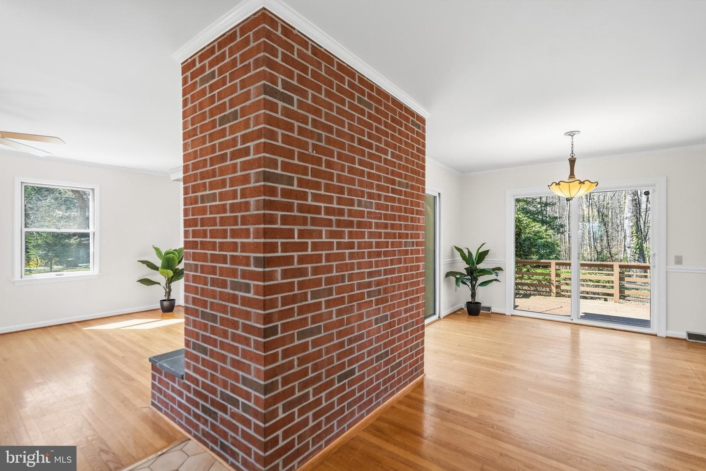 359 Malvern Drive photo 6