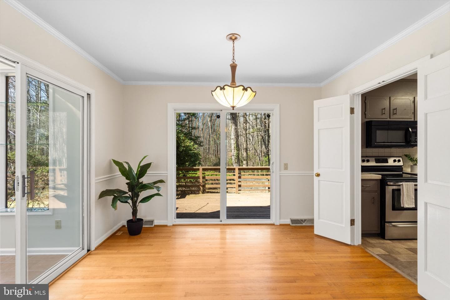 359 Malvern Drive photo 7