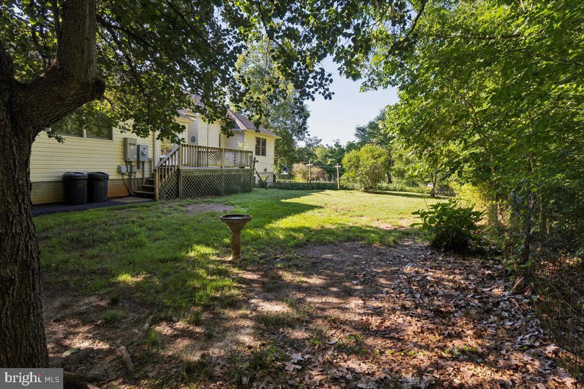 14 Surrey photo 42
