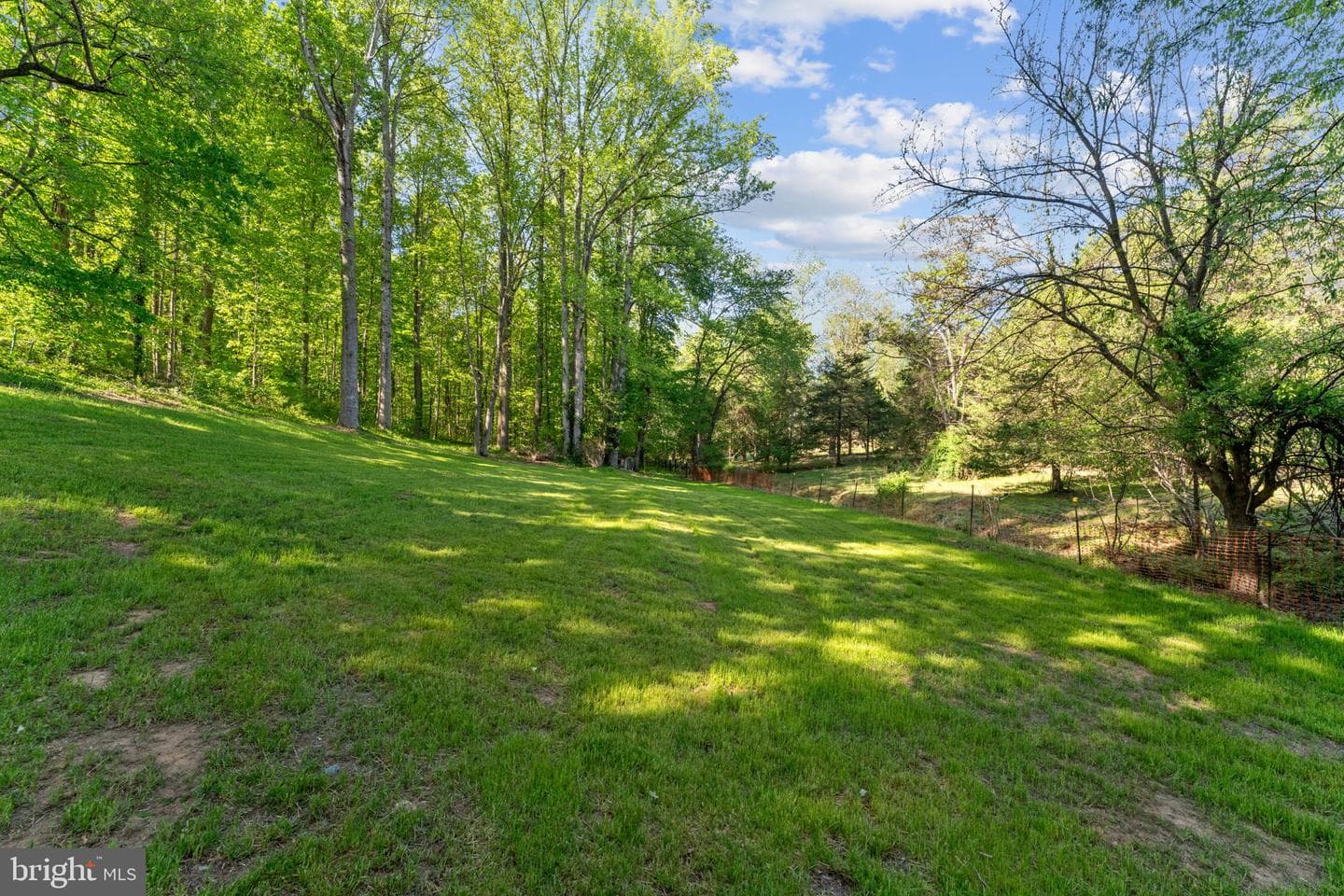 850 Oak Park photo 19