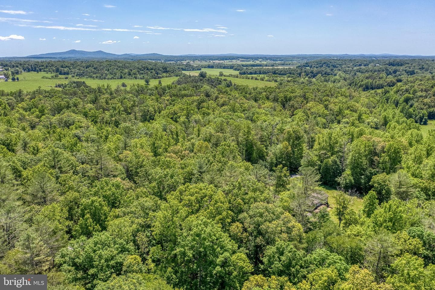 803 Weaver Hollow Road photo 59
