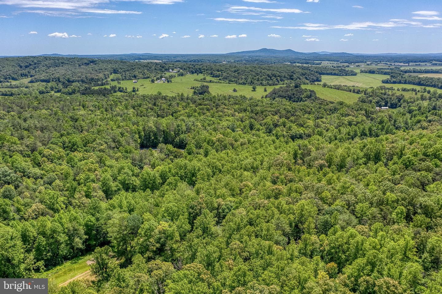 803 Weaver Hollow Road photo 65