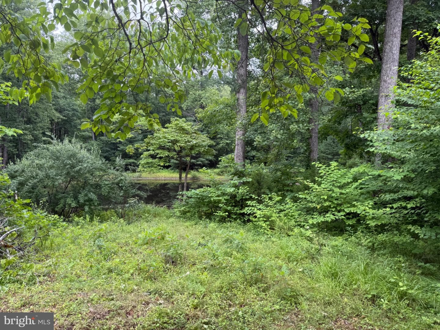 6334 W Hoover Road photo 5