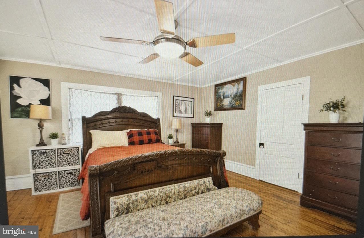 103 Seaboard Avenue photo 3