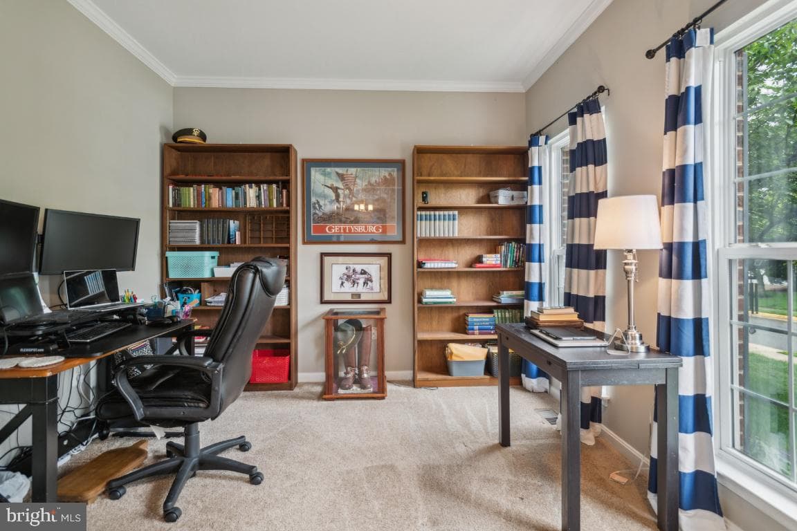 8645 Adrienne Place photo 3