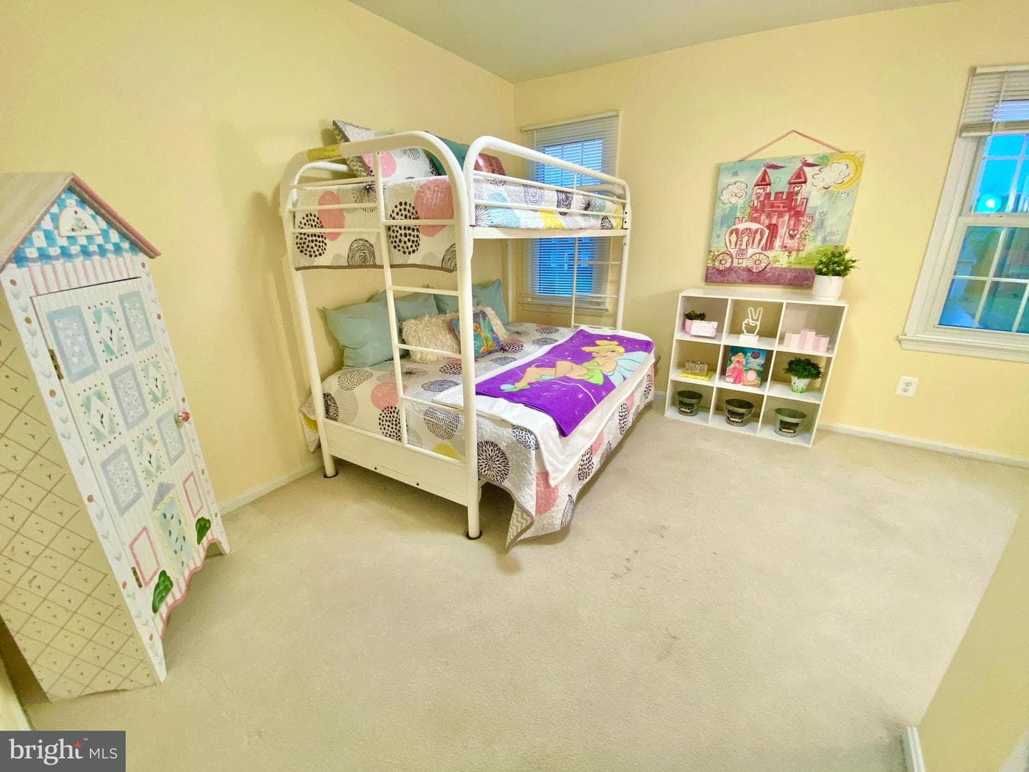 10014 Willow Grove Trail photo 51