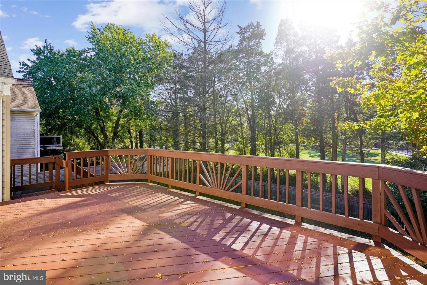 10138 Forest Hill Circle photo 45