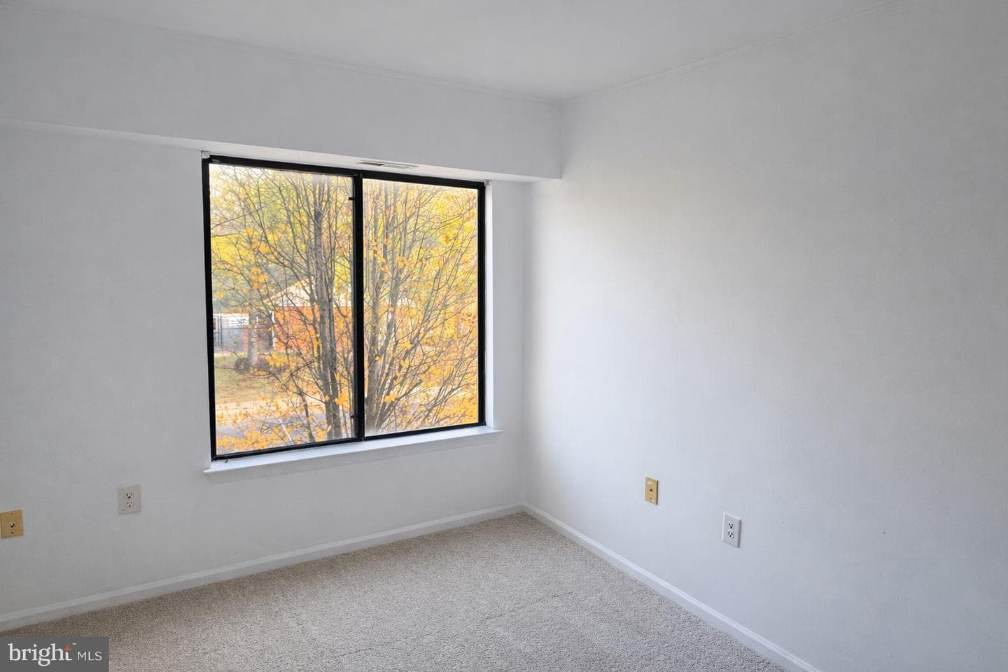 9576 Jayhawk Terrace #301 photo 12
