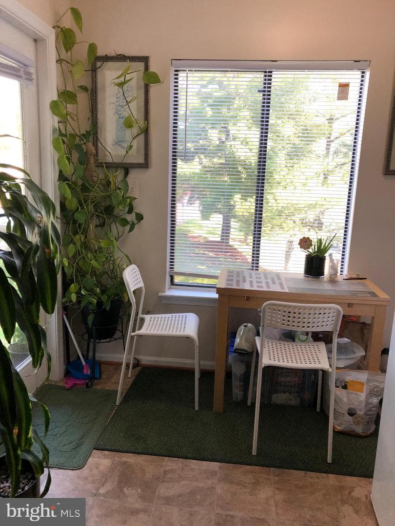 8376 Buttress Lane #203 photo 5