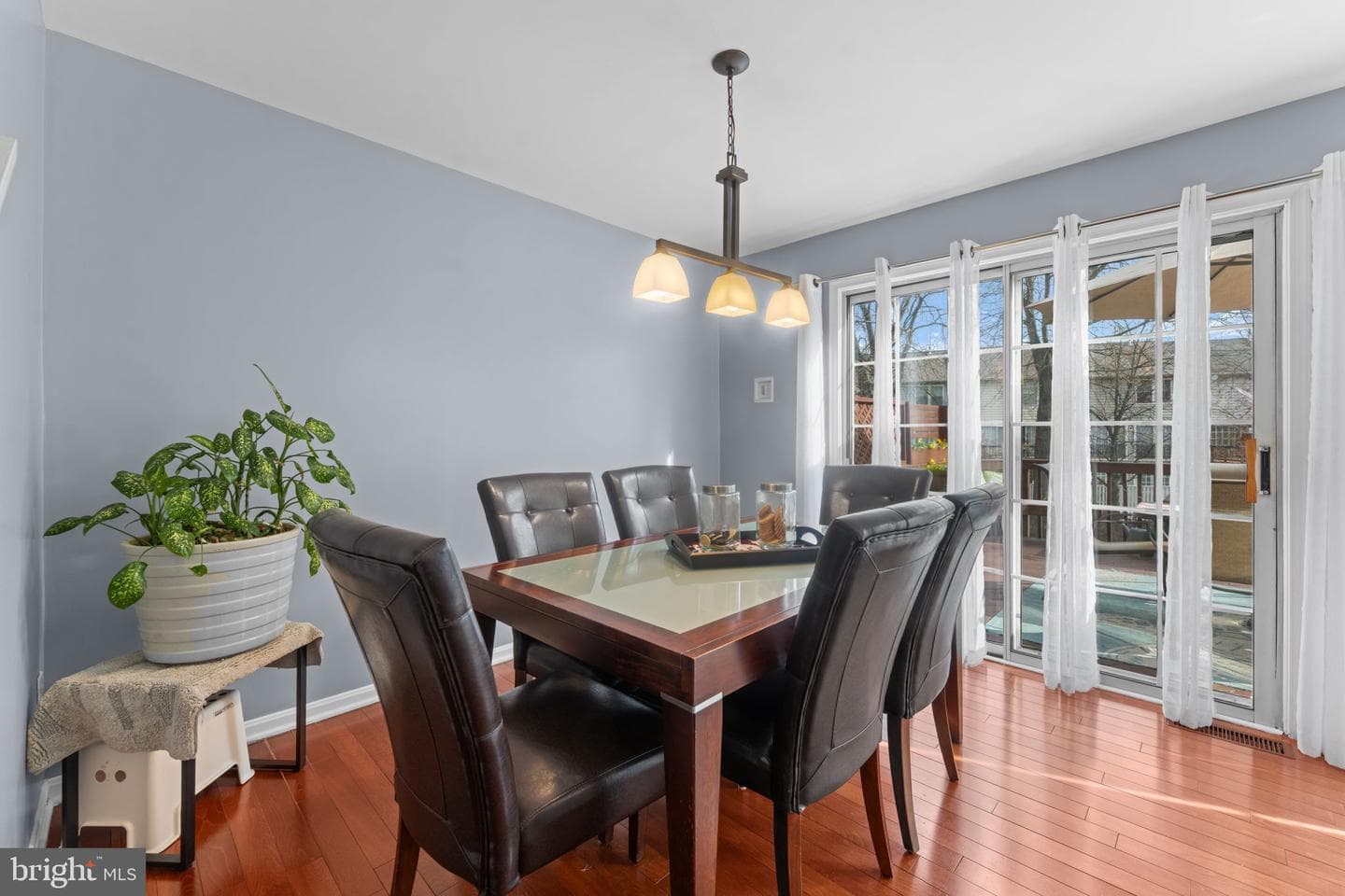 10207 Calypso Drive photo 12