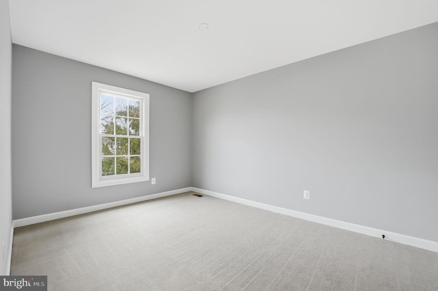 10162 Corydalis Court photo 11