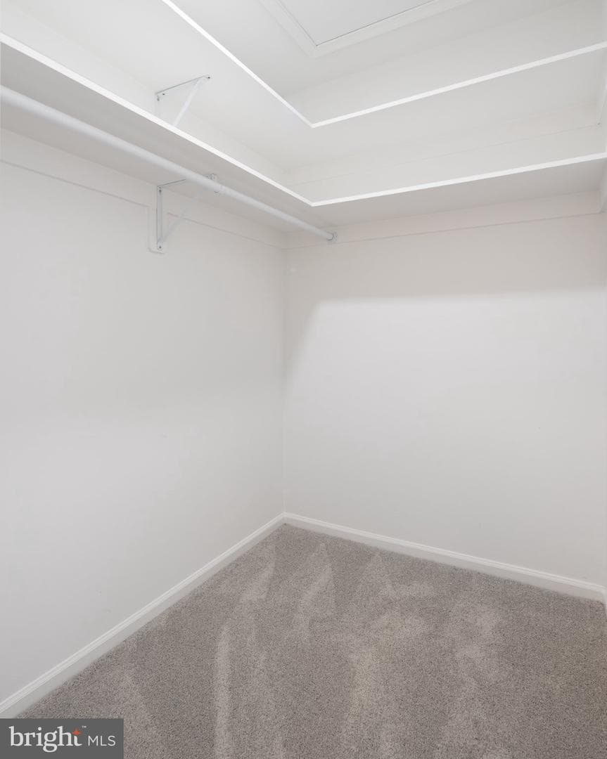 8376 Buttress Lane #302 photo 25