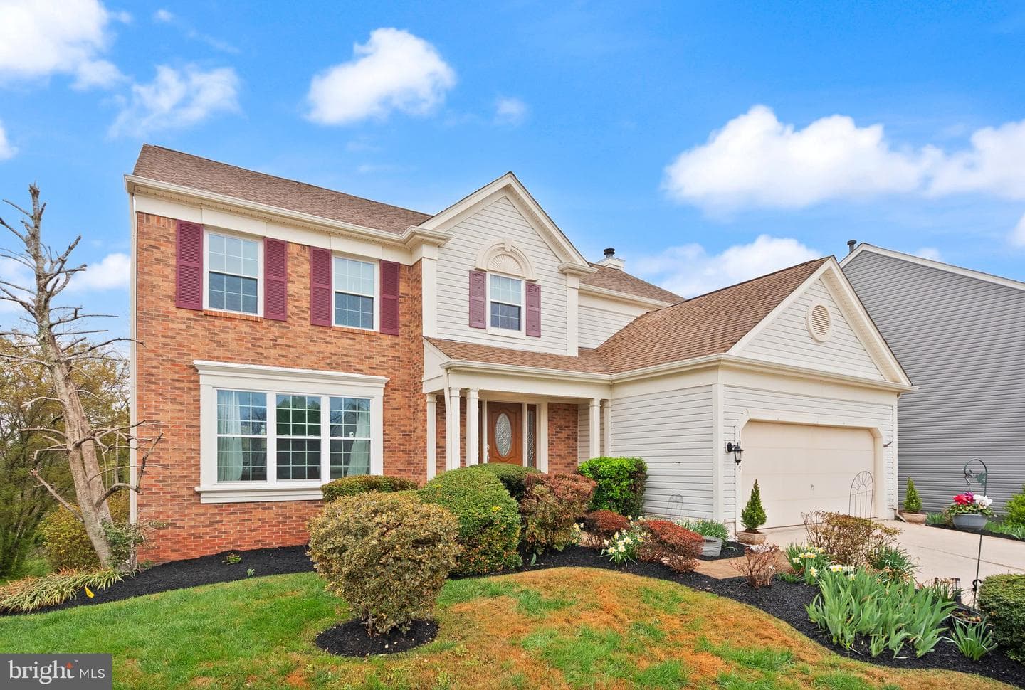 10135 Allwood Court photo 4