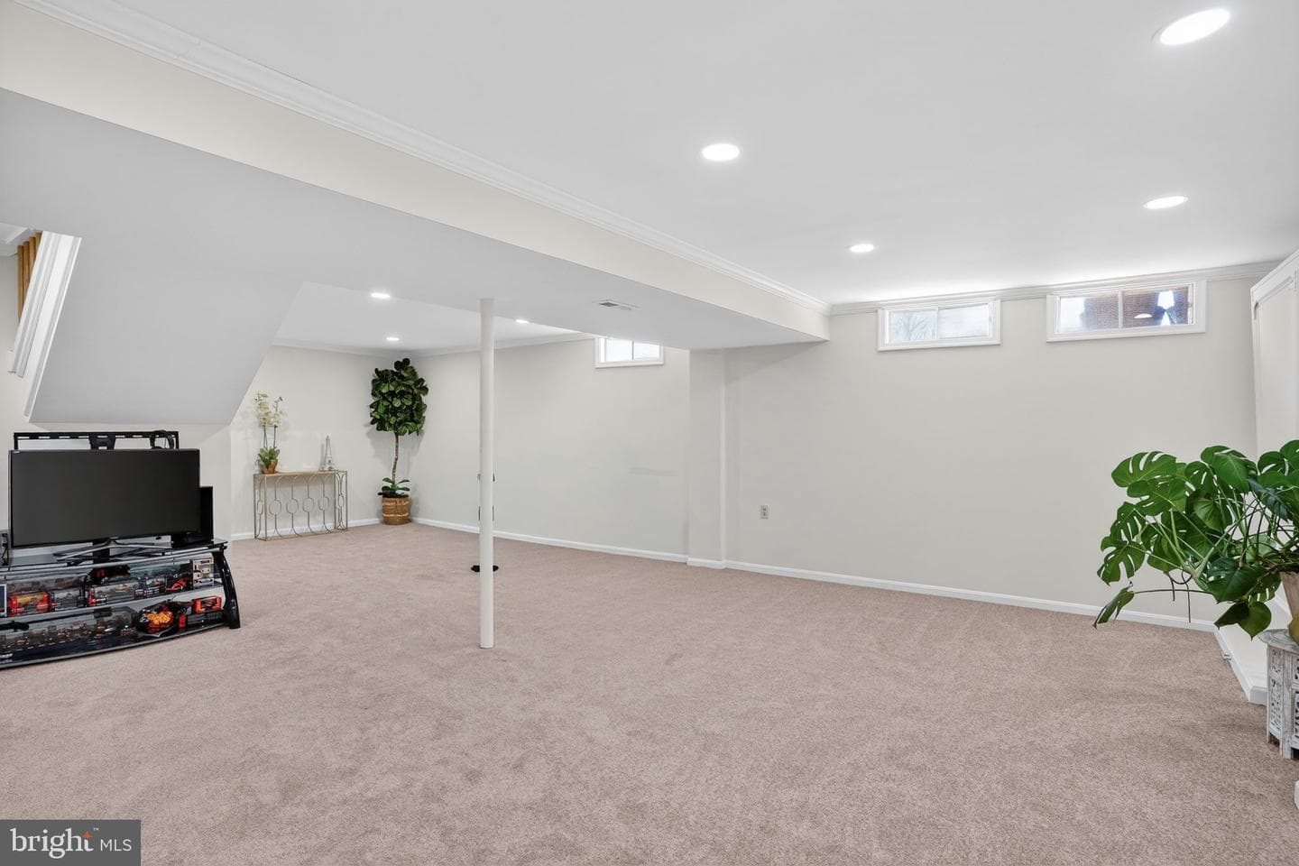 10272 Cedar Ridge Drive photo 44