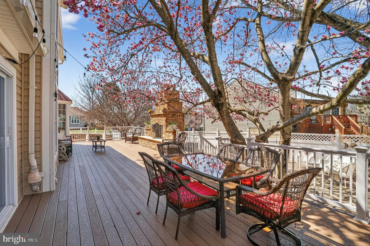 10272 Cedar Ridge Drive photo 49