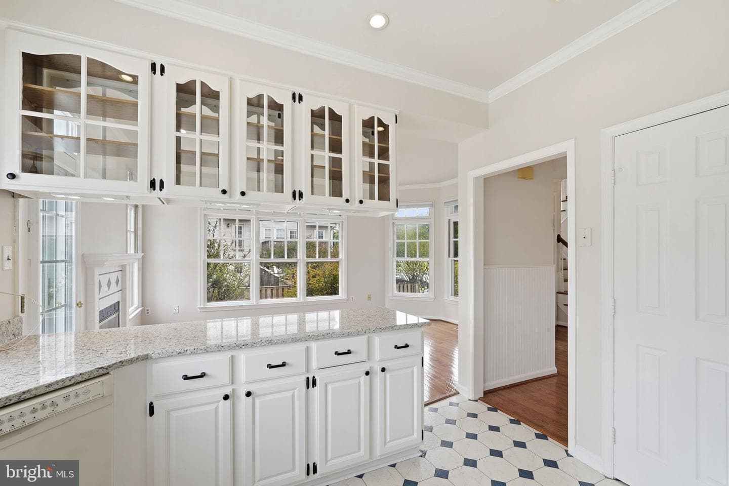 9279 Caladium Drive photo 18