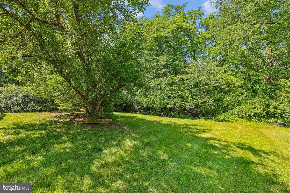 8746 Country Ln photo 34