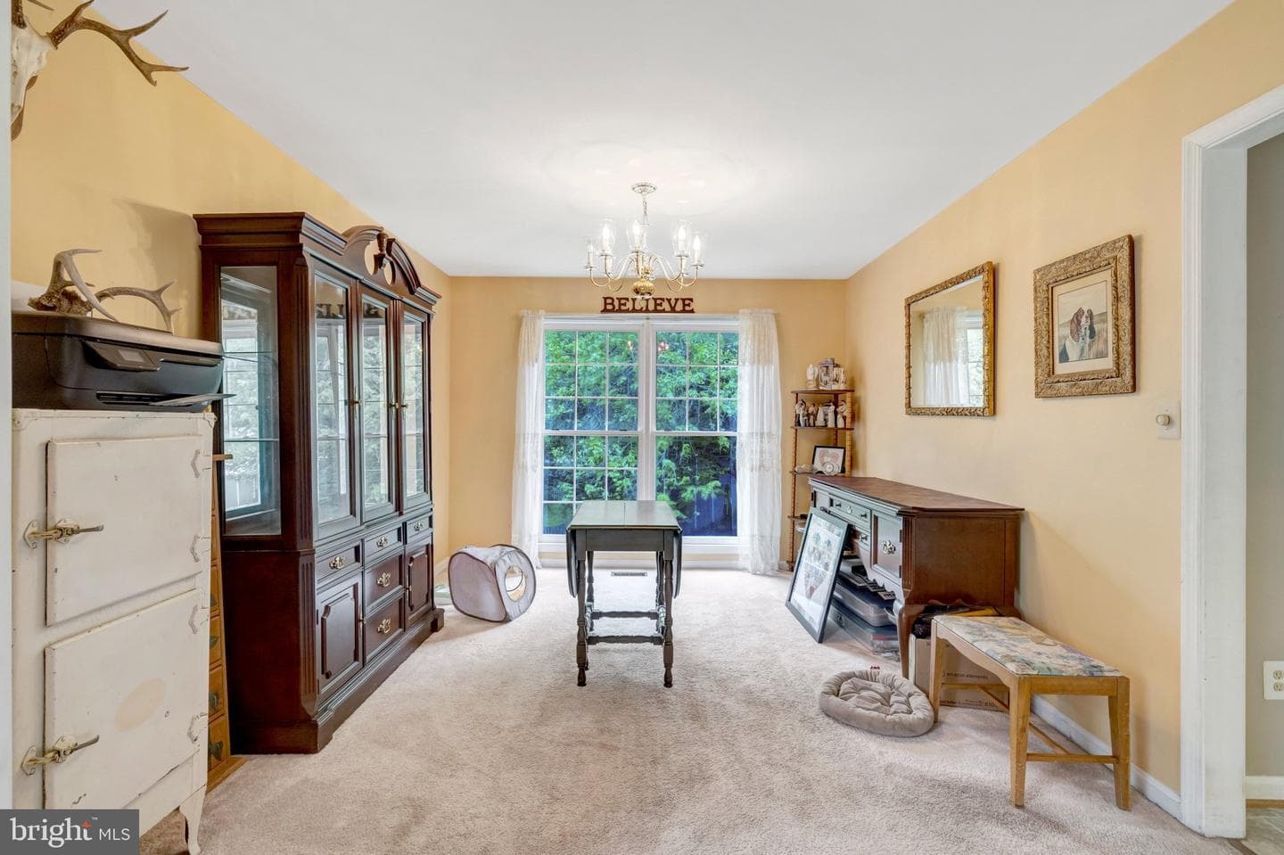 10262 Cedar Ridge Drive photo 11