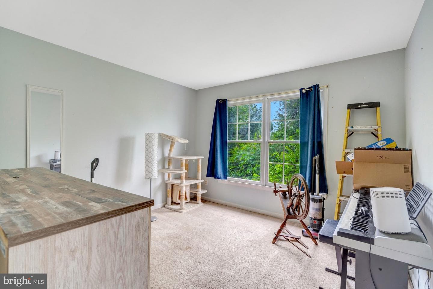 10262 Cedar Ridge Drive photo 32