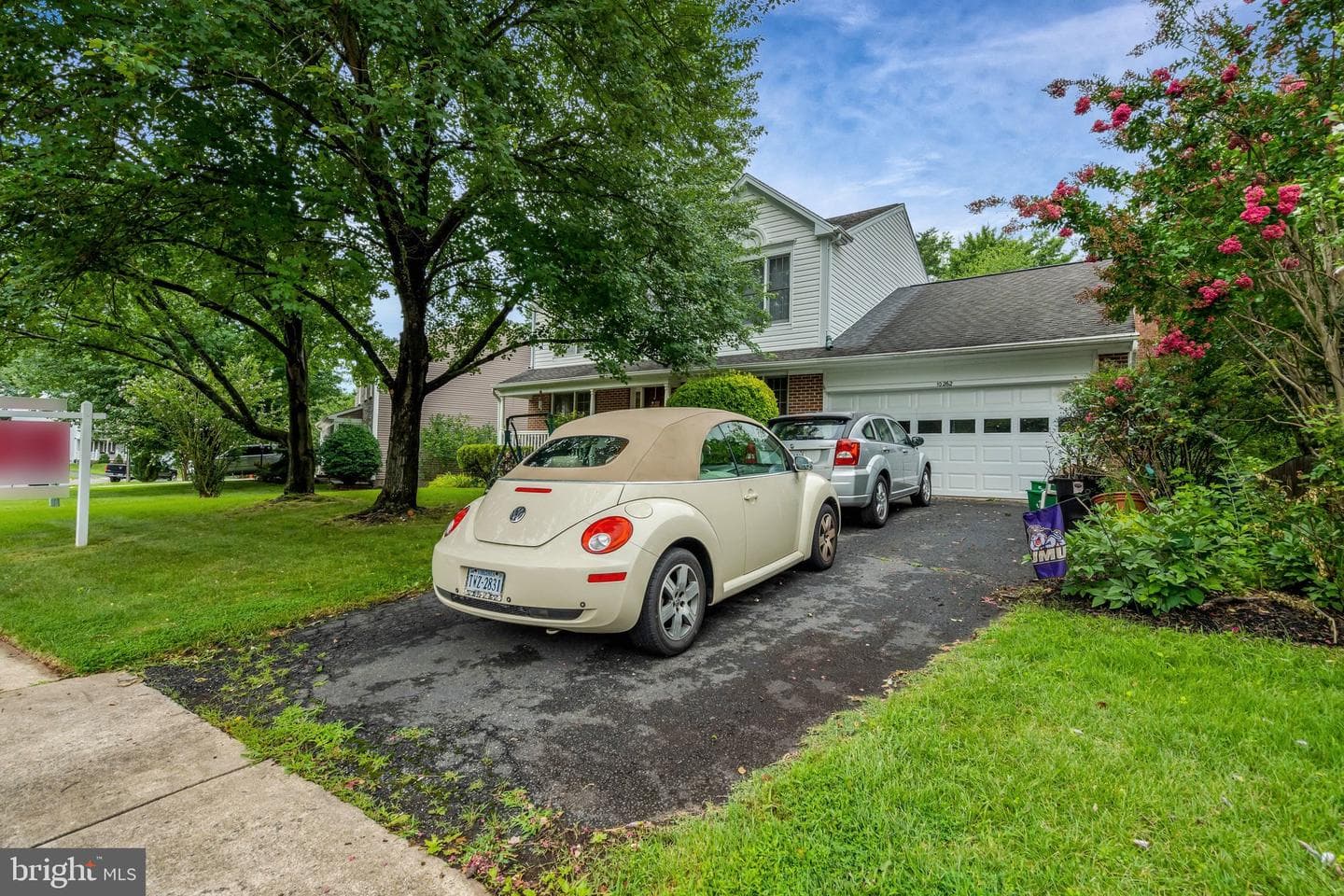 10262 Cedar Ridge Drive photo 4
