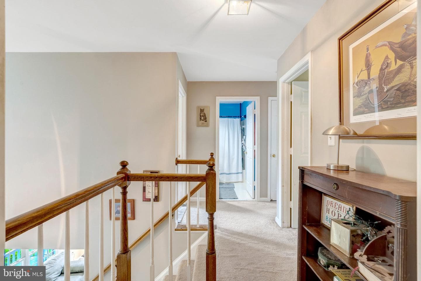 10262 Cedar Ridge Drive photo 40
