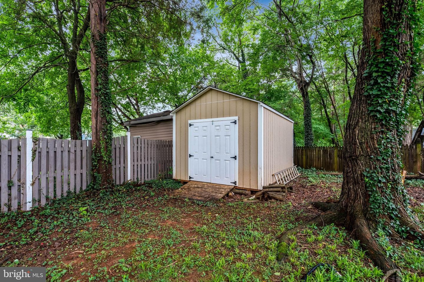 10262 Cedar Ridge Drive photo 51