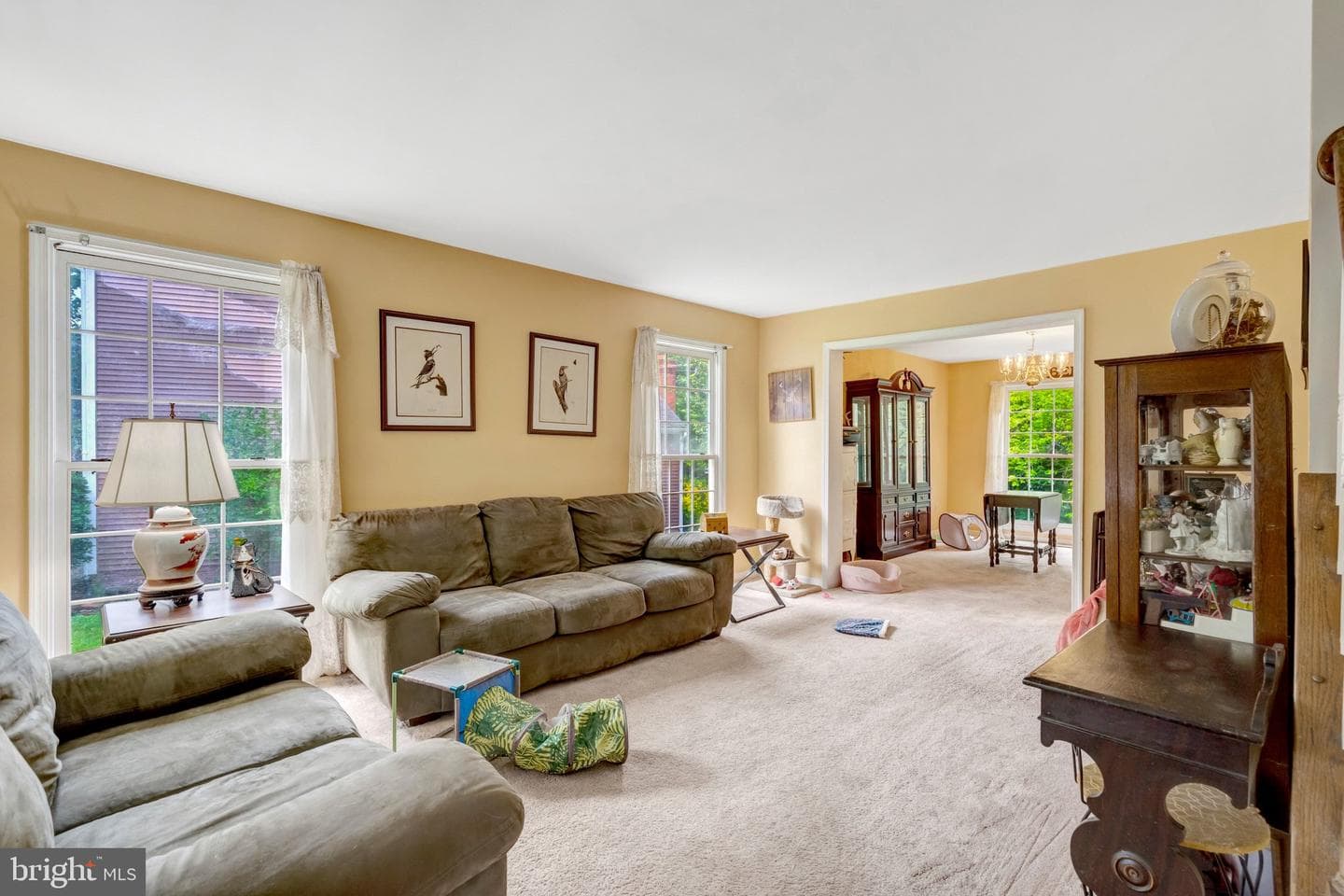 10262 Cedar Ridge Drive photo 8