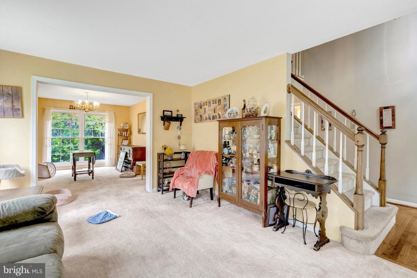 10262 Cedar Ridge Drive photo 9