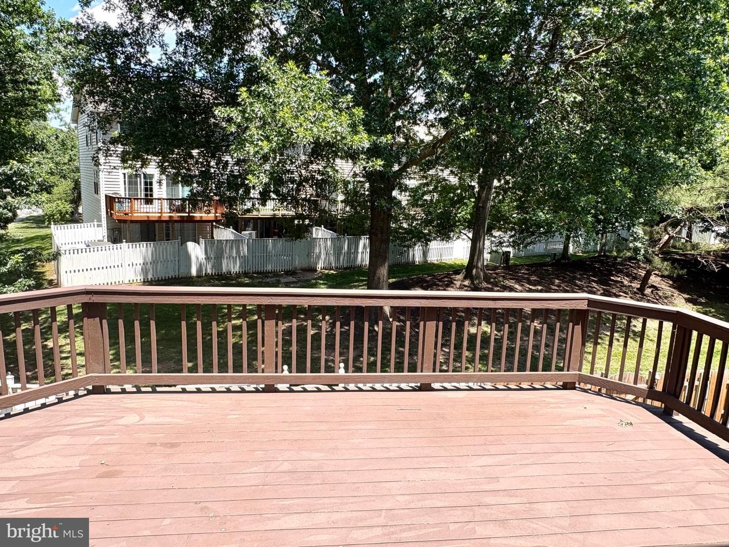10203 Calypso Drive photo 8