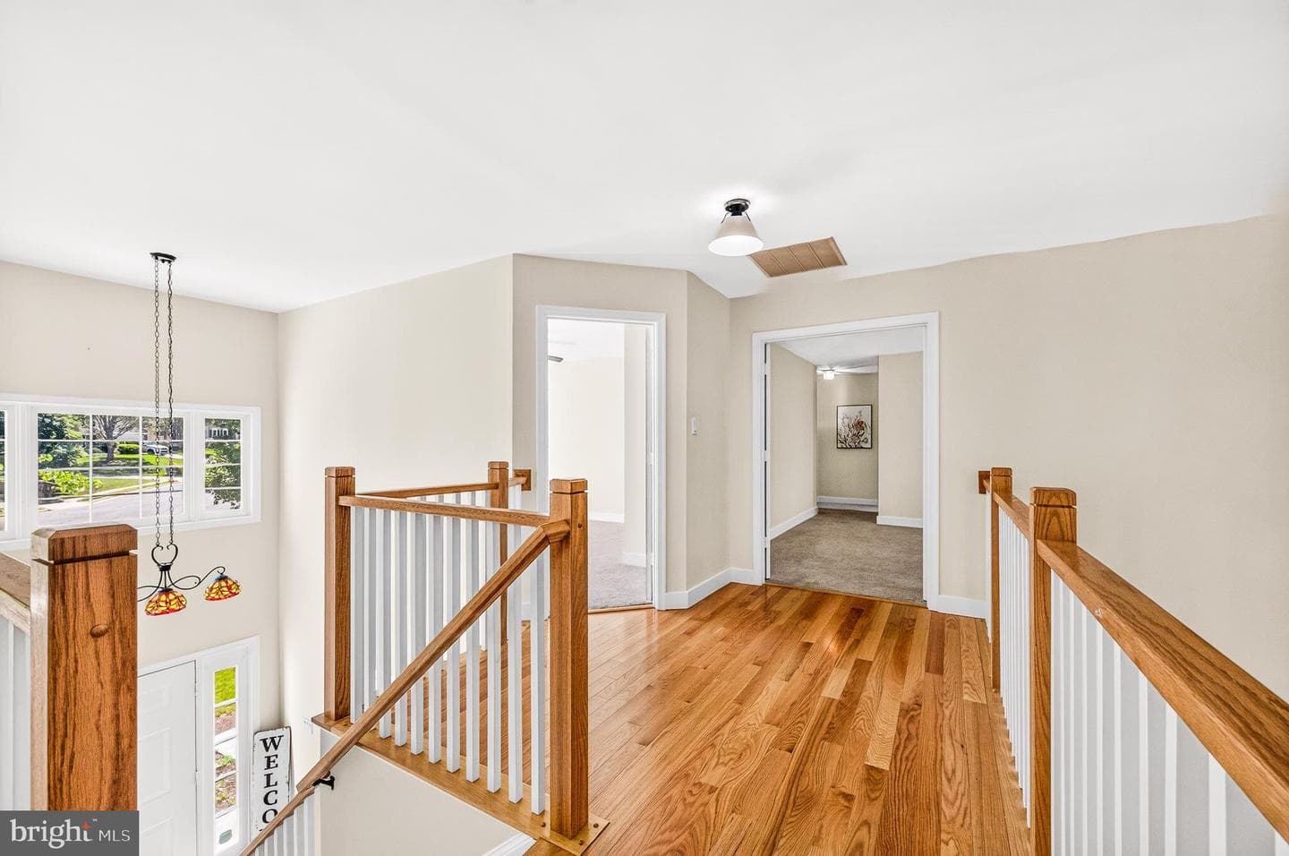 10202 Daylily Court photo 24
